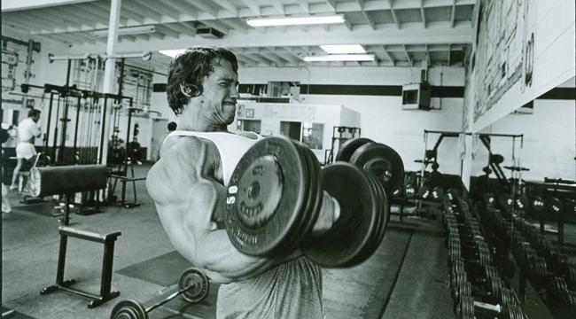 Aron Pump Arnold Series е формулиран за да бъде най-перфектният продукт за изграждането на мускулите.
