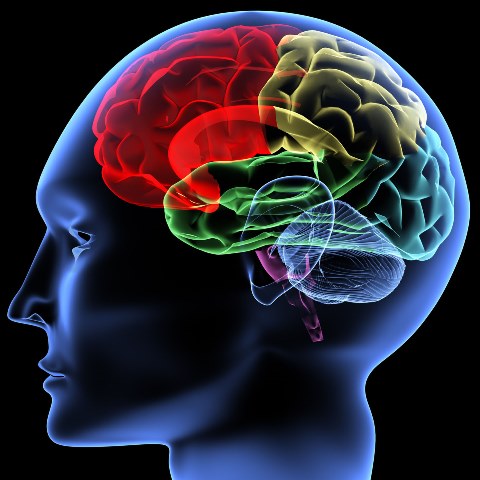 В неврологията Винпоцетин  може да се използва за лечение на различни форми на мозъчни циркулаторни нарушения