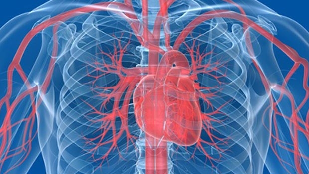 Течен Л-Карнитин+Хром помага при сърдечни проблеми, атеросклероза и остеопороза.