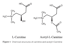 Ацетил Л-Карнитин подмладява и подобрява работоспособността.