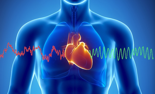 Heart - Cholesterol Support / Phytosterols на топ цена подобрява кръвообръщението и предотвратява риска от инфаркт и инсулт.
