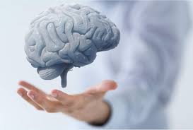 Neuro Optimizer 120 капсули от Jarrow Formulas подобрява мозъчната дейност и предпазва от силен стрес