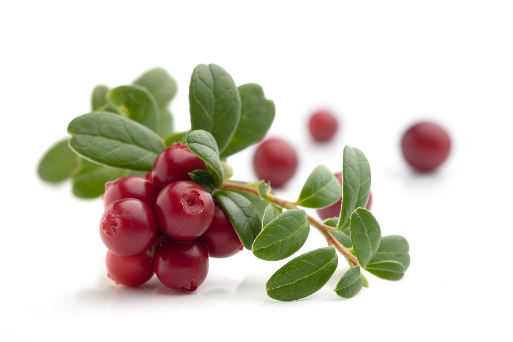 Cranberry на супер цена понижава холестерола, подпомага сърдечната функция и помага при цистит