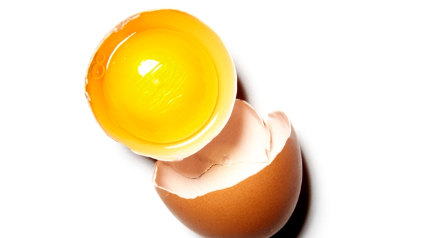 Яйчен протеин с вкус на ванилия/шоколад на супер цена спомага за по-бързия растеж на мускулите и възстановява организма