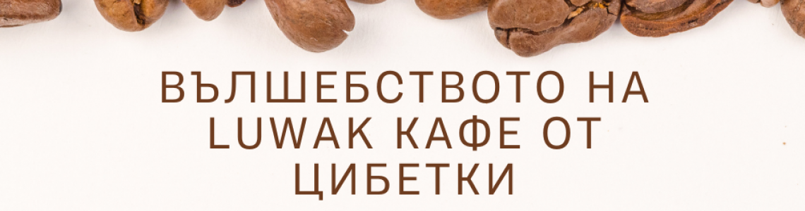 Вълшебството на Luwak Кафе от цибетки