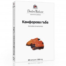 Камфорова гъба (Antrodia cinnamomea) 60 капсули х 555 мг Камфорова гъба (Antrodia cinnamomea) 60 капсули х 555 мг