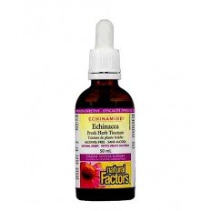 Echinamide® Тинктура с ехинацея 50 ml (без алкохол)