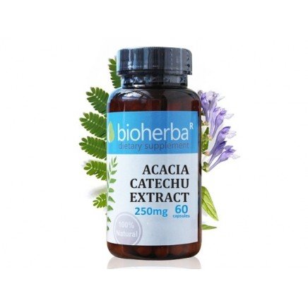 - Acacia Catechu Extract 250 mg 60 Capsules в категория Холестерол. Acacia
