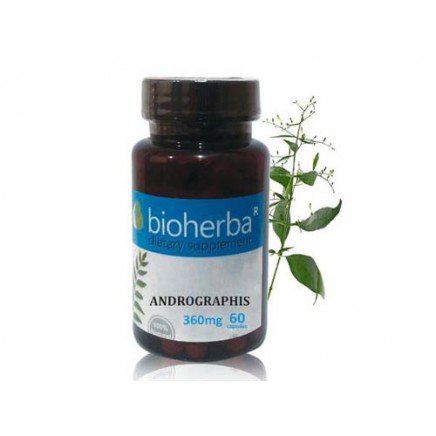 BHB-414779 - Andrographis 360 mg 60 Capsules в категория Бактериални