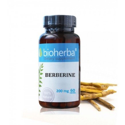 BHB-417206 - Berberine 200 mg 60 Capsules в категория Диабет. Berberine 200 мг 60