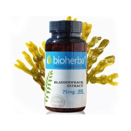 BHB-410597 - Bladderwrack Extract 75 mg 60 Capsules в категория Запек. Bladderwrack