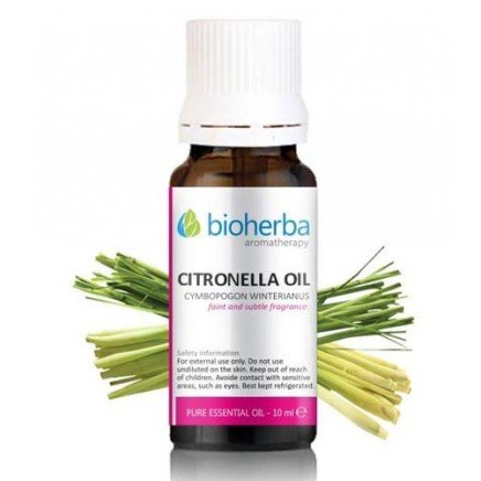 Мнения и ползи от Citronella Oil 10 мл четете в Zdrave365.com - Citronella Oil 10 ml в категория Ароматерапия, Етерични