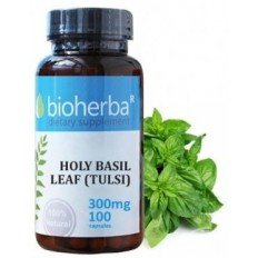 Holy Basil Leaf (Tulsi) 300 мг 100 капсули Holy Basil Leaf (Tulsi) 300 мг 100 капсули