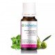 - Oregano in Olive Oil 10 ml в категория Ароматерапия, Етерични