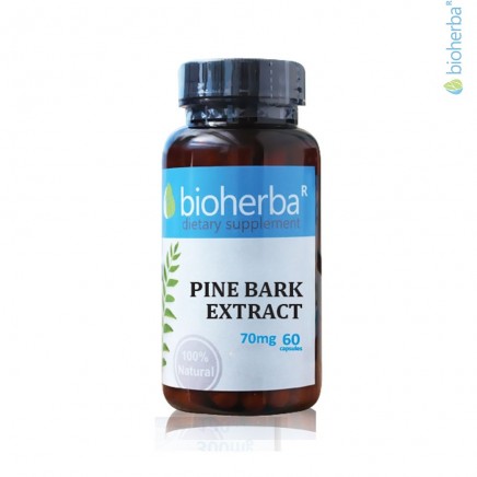BHB-417305 - Pine Bark Extract 70 mg 60 Capsules в категория Холестерол. Pine