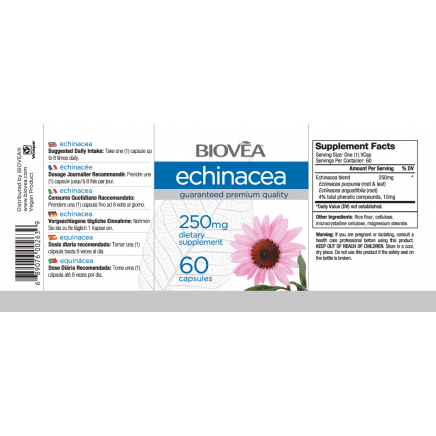 BVA-05794 - Echinacea 400 mg 60 Capsules в категория Растителни