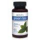 BVA-02249 - Green Tea 500 mg 60 Vegetarian Capsules в категория