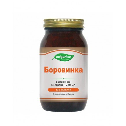 BUL-01456 - Боровинка 280 мг 120 капсули Bulgaricus в категория .
