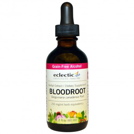 Мнения и ползи от Bloodroot течен екстракт 60 мл четете в Zdrave365.com ECL-38951 - Bloodroot 60ml Eclectic Institute в категория Билки. Bloodroot