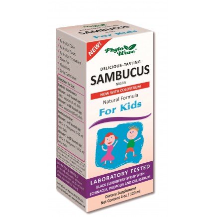 PTW-51005 - Sambucus Nigra for kids 120 ml в категория Грип, Настинка.