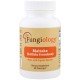 FNG-00834 - Maitake Mushroom (Grifola Frondosa) 90 capsules в категория . Maitake