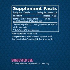 Boswellia 250 мг 100 капсули Boswellia 250 мг 100 капсули