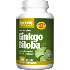 Ginkgo Biloba 50:1 120 веге капсули