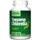 JRW-17003 - Yaeyama Chlorella 400 mg 150 Capsules в категория Диабет. Yaeyama