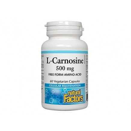 NFS-02805 - L-Carnosine 500 mg 60 caps в категория Сърдечно здраве.
