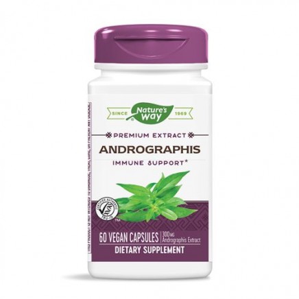 NWY-15381 - Andrographis 60 Vegan Capsules в категория Растителни
