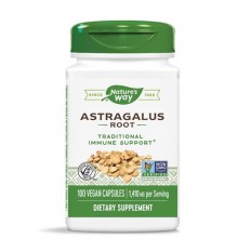 Astragalus Root 470 мг 100 веган капсули