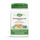 NWY-10180 - Astragalus Root 470 mg 100 Vegan Capsules в категория Стрес. Astragalus