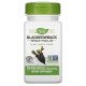 NWY-15380 - Bladderwrack Whole Thallus 580 mg 100 Vegan Capsules в категория