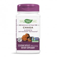 Chaga 480 мг 30 веган капсули