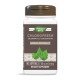 NWY-03550 - Chlorofresh Chlorophyll Concentrate 90 Softgels в категория