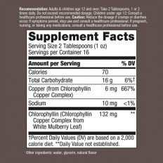 Chlorofresh Liquid Chlorophyll (Mint Flavored) 473 мл Chlorofresh Liquid Chlorophyll (Mint Flavored) 473 мл