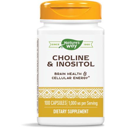 NWY-40462 - Choline and Inositol 500 mg 100 Capsules в категория Витамини.