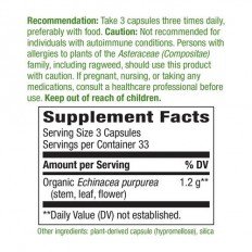 Echinacea (билка) 400 мг 100 веган капсули Echinacea (билка) 400 мг 100 веган капсули