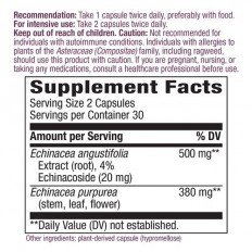 Echinacea 60 веган капсули Echinacea 60 веган капсули