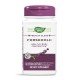 NWY-10006 - Forskohlii 60 Vegan Capsules в категория Билки. Форсколий 250
