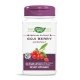 NWY-15811 - Goji Berry SuperFruit 400 mg 60 Vegan Capsules в категория Зрение и