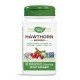 NWY-14100 - Hawthorn Berries 510 mg 100 Vegan Capsules в категория . Hawthorn Berries 510