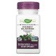 NWY-00110 - Kidney Bladder 465 mg 100 Vegan Capsules в категория Инфекции на