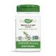 NWY-16900 - Scullcap 425 mg 100 Vegan Capsules в категория Билки. Шлемник