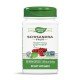 NWY-16800 - Shizandra Fruit 580 mg 100 Vegan Capsules в категория Растителни
