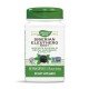 NWY-13500 - Siberian Eleuthero Root 425 mg 100 Vegan Capsules в категория Диабет.