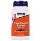 NOW-02385 - Phosphatidyl Serine 100 mg Ginkgo 50 Softgels в категория . Phosphatidyl