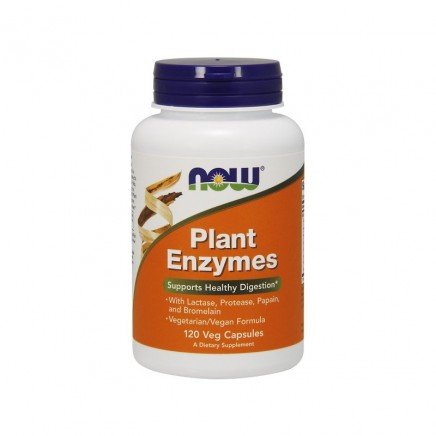 Мнения и ползи от Plant Enzymes 120 веге капсули четете в Zdrave365.com NOW-02966 - Plant Enzymes 120 Veg Capsules в категория Ензими. Plant Enzymes 120