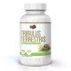 - Tribulus Terrestris 200 Tablets в категория Импотентност