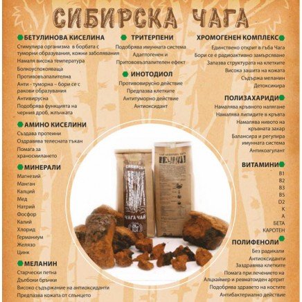 SFD-051200 - Чага Чай 24 пакетчета в категория Холестерол.